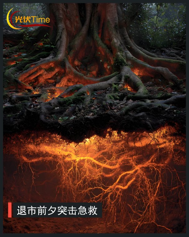 23亿资金入局，谁看上了“光伏第一股”